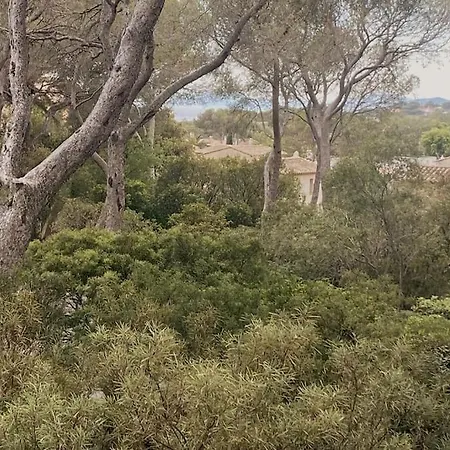 Bel De Standing A Boulouris